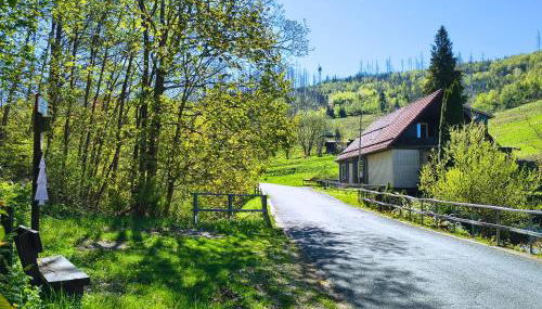 Ferienwohnung Mühlenteich by Hoheisel, Zaubernuss, Parken, Wanderstart, WLAN - Foto 3