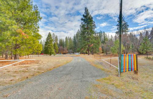 Quiet and Family Friendly! Rural Home Near Mt Shasta - Foto 33