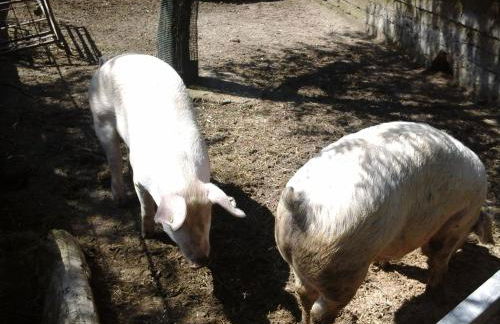 Agriturismo La Chiana - Foto 54