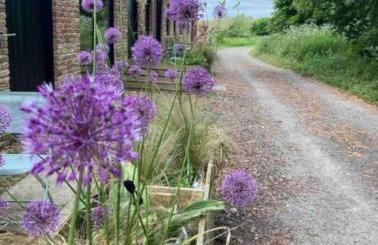 The Dovecote - Foto 11