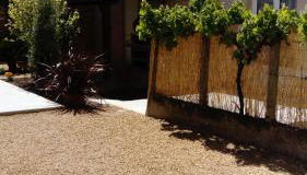 l'orchidée - Foto 2