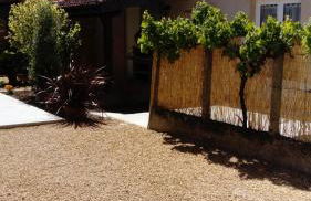 l'orchidée - Foto 2