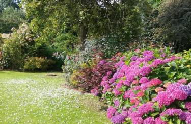 Gîte Gîtes de France® - Le Nid d'Hirondelles - Foto 22