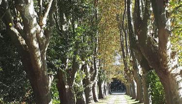 La Chambrette - Foto 2