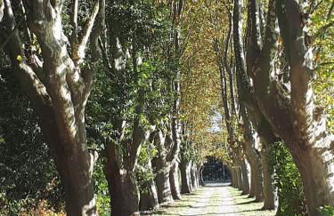 La Chambrette - Foto 2