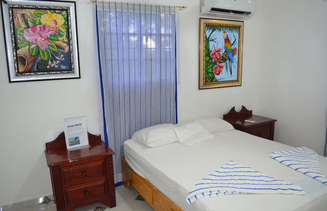 Apartamento Central - Foto 22