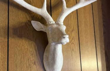 Chalet BERGliebe Willingen- Nähe Skywalk - Foto 7