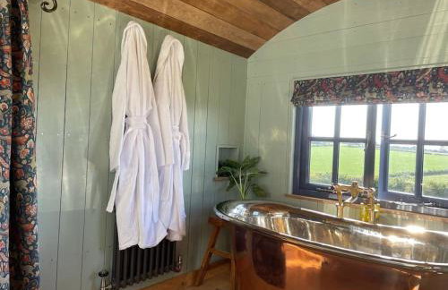 Novelist Shepherd's hut - Foto 34