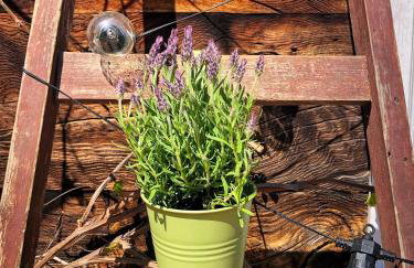 Magiczne Podlasie - Foto 35