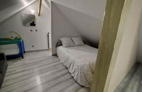 maison luxe cléo aeroport tillé 2 a 5 personnes - Foto 29