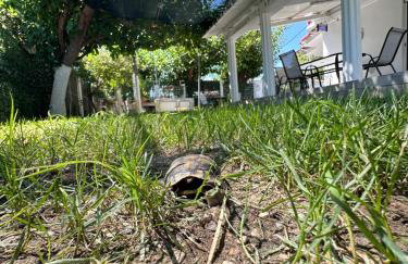 Hermes Grove - Foto 23