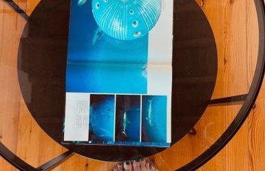 M.J.P. House - Foto 10