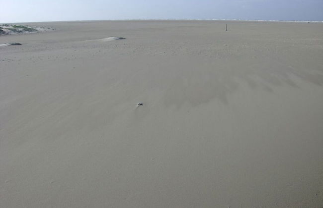 Beach Hair Friesian Residence - Foto 19