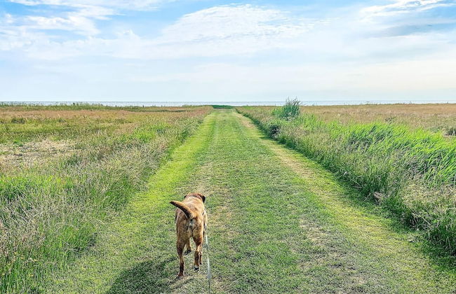 8 Person Holiday Home in Orsted-by Traum - Foto 34