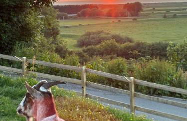 Eco house 2 - Foto 11