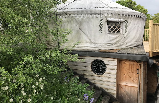 Hapus Yurt - Two Beautiful Yurts and Barn Cottage - Foto 37