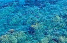 Palazzo Cettina Sul Mare - Photo 7