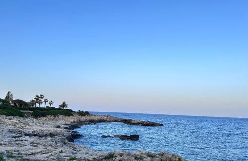 Villa Aurita - Foto 41