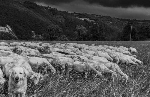 Tuttaterra - Foto 71