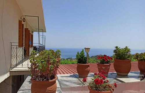 Μπαλκόνι του Αιγαίου father's house in Kimi - Photo 18