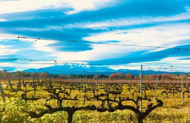 Le Mas des Alberes Piscine privative proche mer et Collioure, climatisation, parking ,WiFi - Foto 35