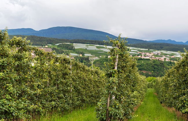 Belvilla by OYO Charming Apartment in Brez With TV - Foto 35