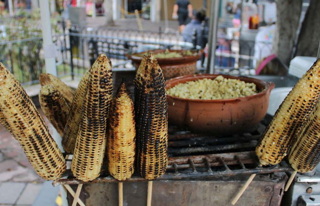 Tlaquepaque Tour - Photo 8