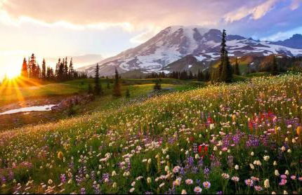 Luxury Retreat near beaches, 12 miles to Seattle - Foto 61