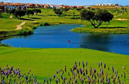 Renovación total post-covid Netflix, Piscina - Foto 37