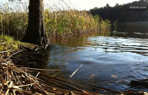 Landbahnhof Buschhof 2 OG mit Gartensauna - Foto 53