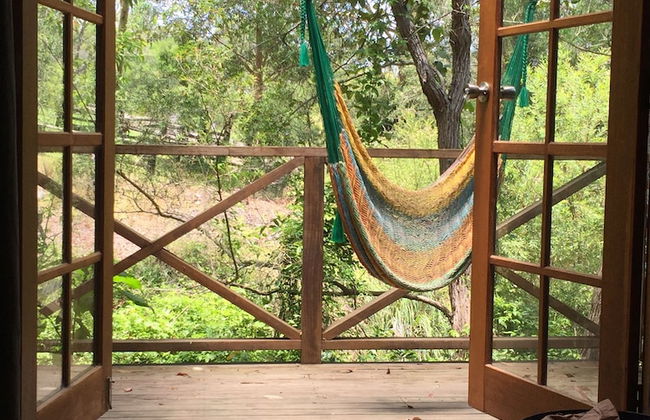 Bluegums Cabins Barrington Tops - Photo 46