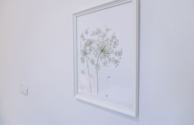 Green Wheels Oasis Between Pisa and Sea - Foto 41