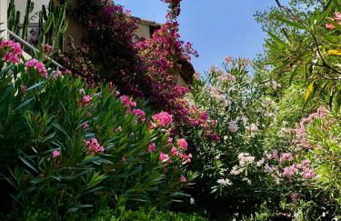 Cap Nioulargo - Foto 18