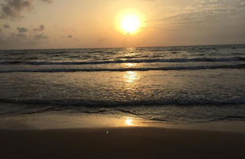 Valencia Centro WiFi - Photo 49