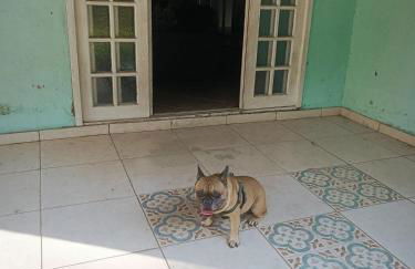 A Melhor Chácara com Piscina, Próxima à Praia! - Foto 44