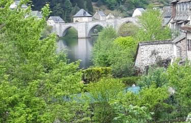 Suite avec vue panoramique sur la Truyère - Photo 31