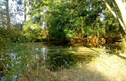 Ferienhof Mies - Foto 22