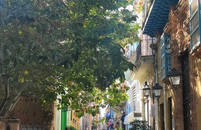 Amargura 62 - Photo 24