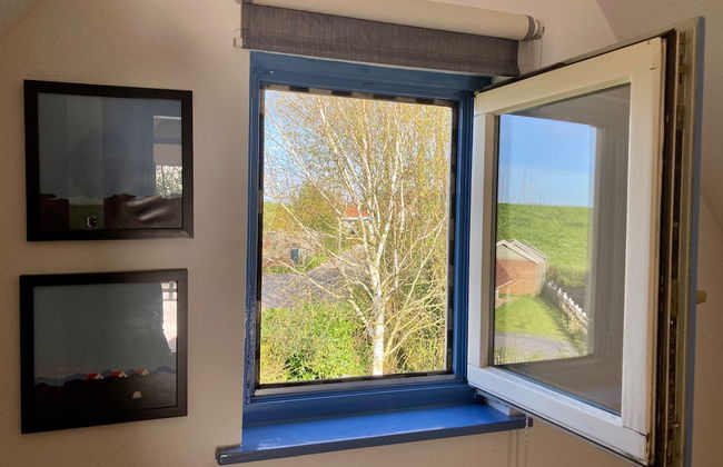 6pers House With a Private Terrace and Garden by the Lauwersmeer - Photo 31