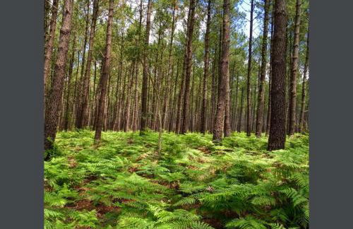 Appartement Résidence Saint Jours - Centre ville - Foto 9