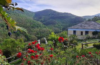 Apartamentos Rurales El Bosque de las Viñas - Photo 79