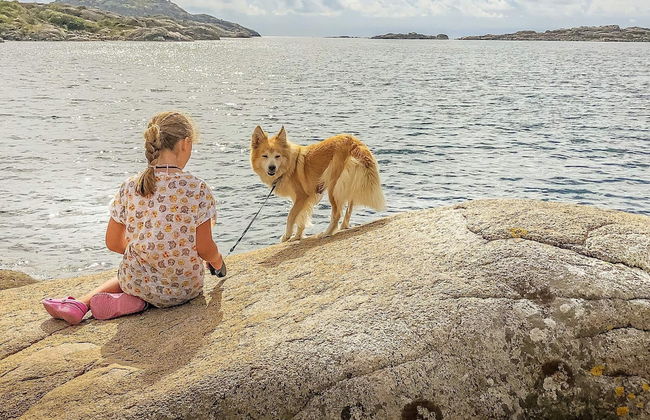 4 Person Holiday Home in Lyngdal-by Traum - Foto 30