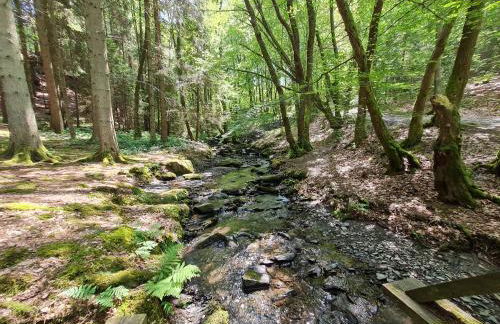 Ferienhaus Dröfter Blick - Foto 54