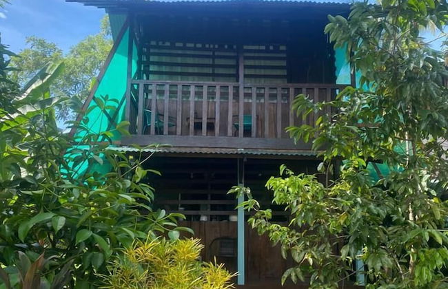 Morning Glory - Foto 48