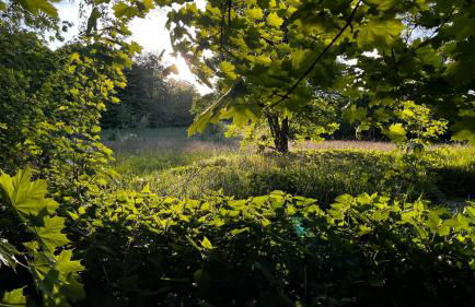 Ferienwohnung mit Garten am Wald - Foto 23