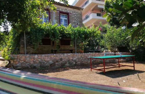 Traditional olive house - Gargalianoi - Foto 46