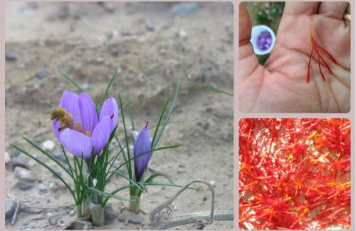 Casa Leuca ALBENGA - Foto 25