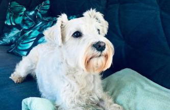 Osada Natura - Photo 43