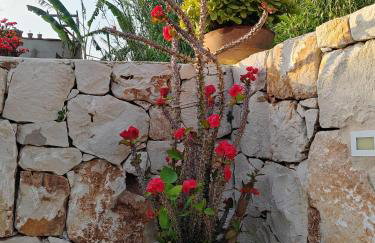 villa xenia - Foto 77