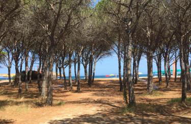 Green House - Foto 11